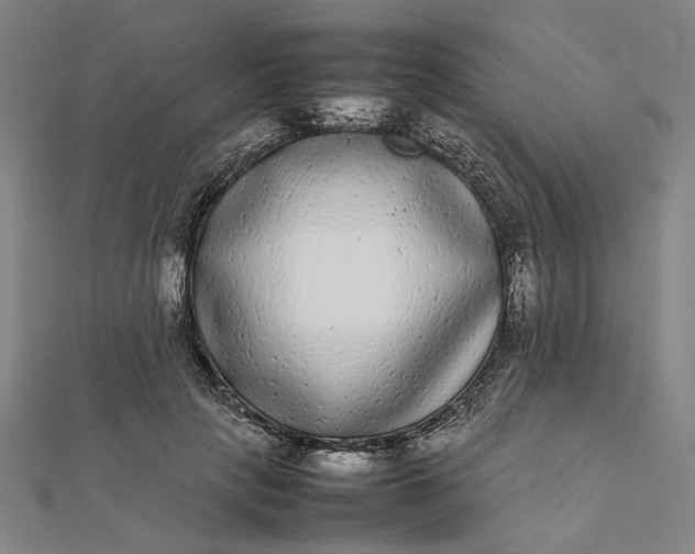 X0000112070649200908181221