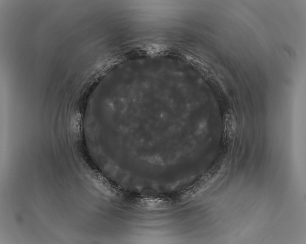 X0000112070650200908181221
