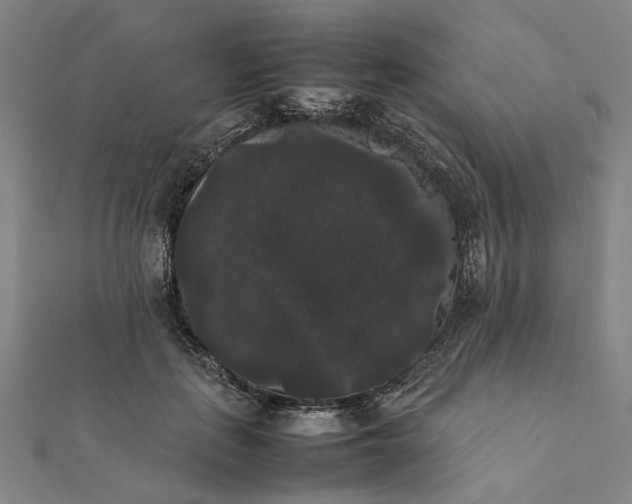 X0000112070651200908181221