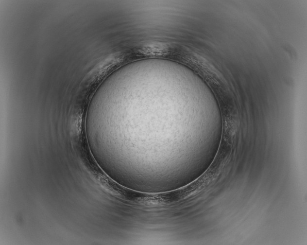 X0000112070652200908181221
