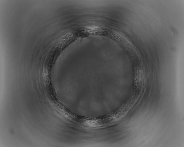 X0000112070653200908181221