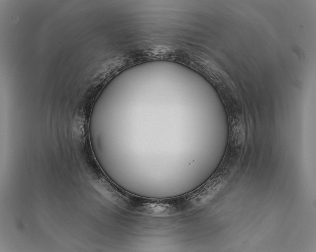 X0000112070654200908181221