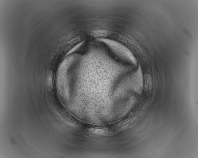 X0000112070655200908181221