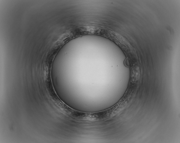 X0000112070656200908181221