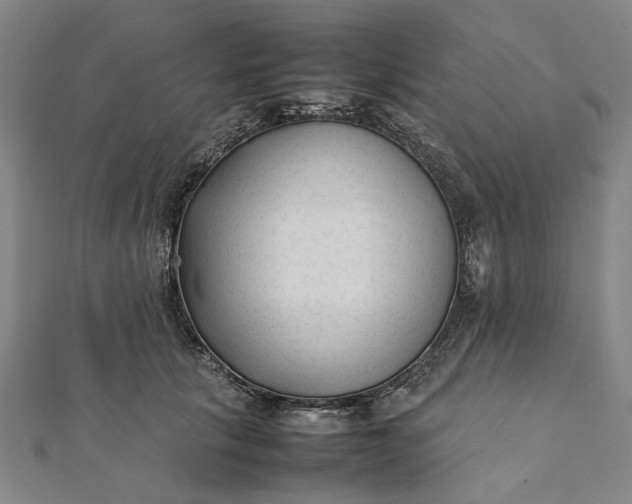 X0000112070657200908181221