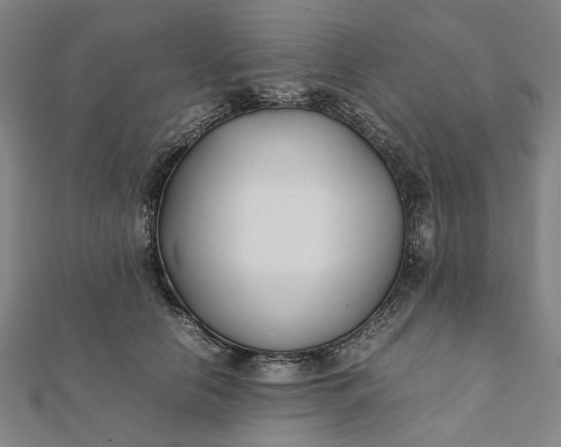 X0000112070658200908181221