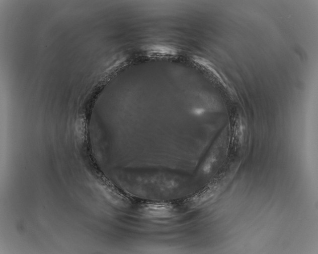 X0000112070659200908181221
