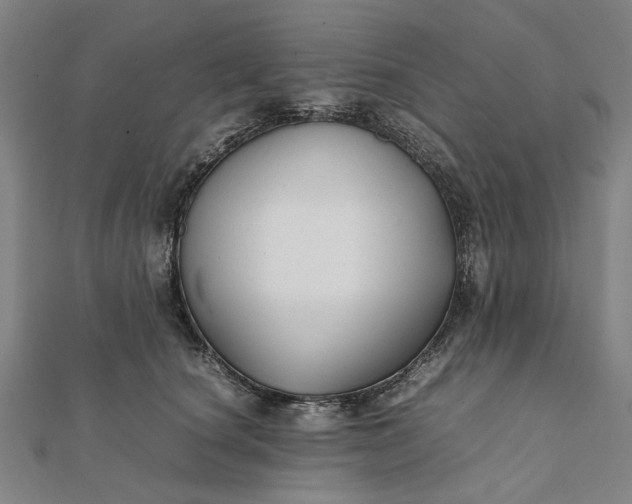 X0000112070660200908181221