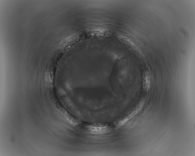 X0000112070661200908181221