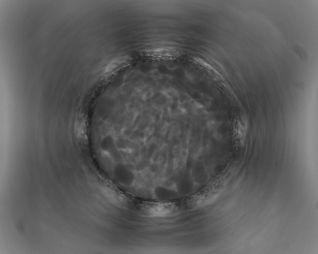 X0000112070663200908181221