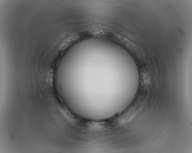 X0000112070664200908181221