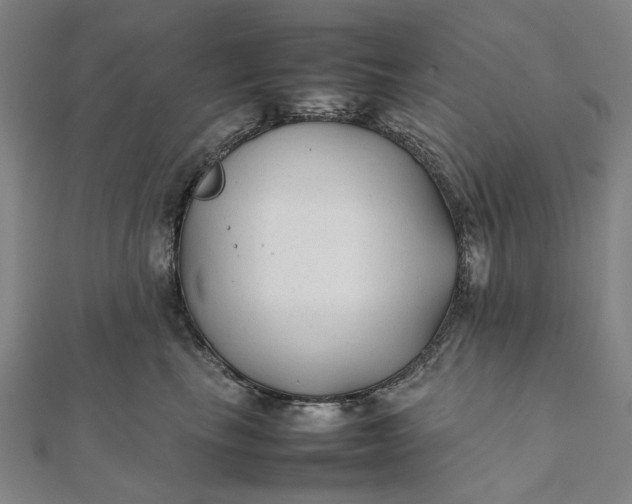 X0000112070665200908181221