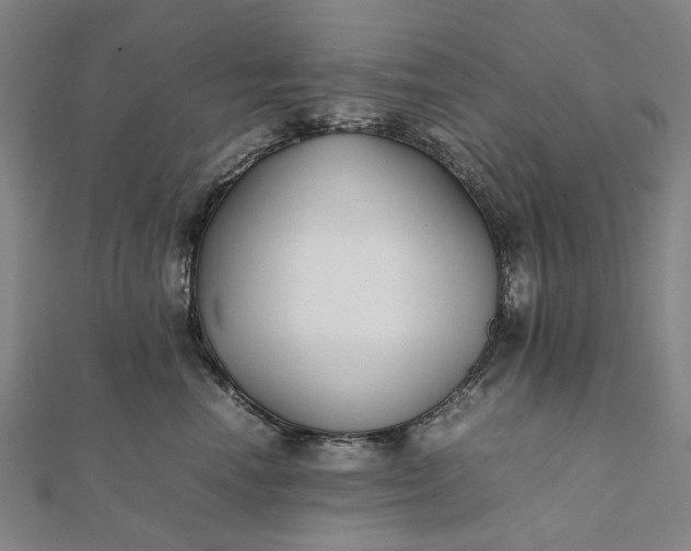 X0000112070666200908181221