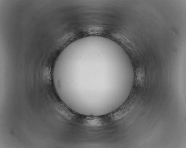 X0000112070667200908181221