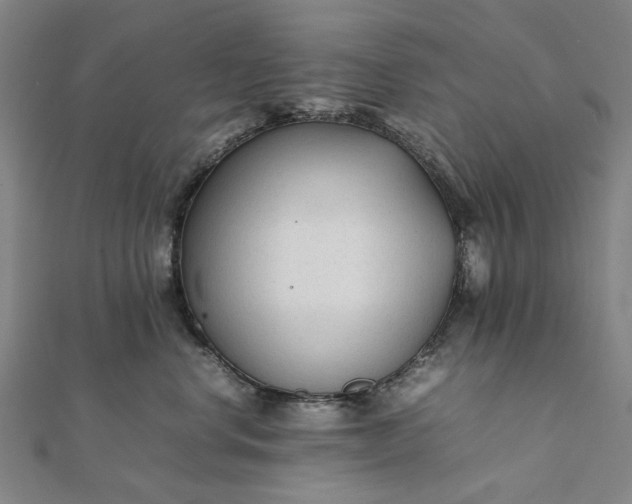 X0000112070668200908181221