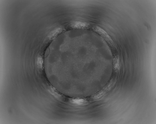 X0000112070669200908181221