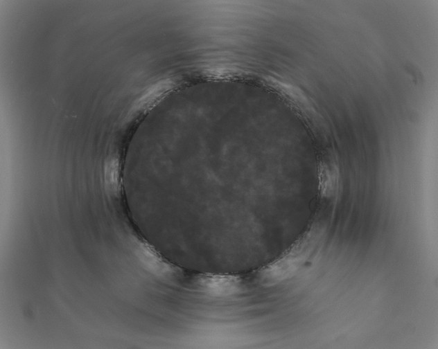 X0000112070670200908181221
