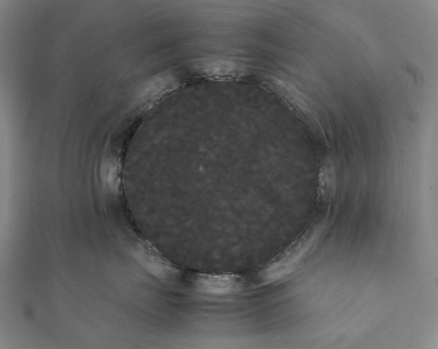 X0000112070671200908181221