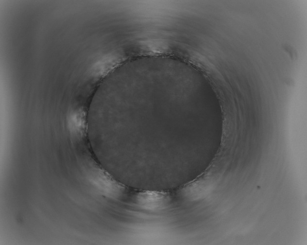 X0000112070672200908181221