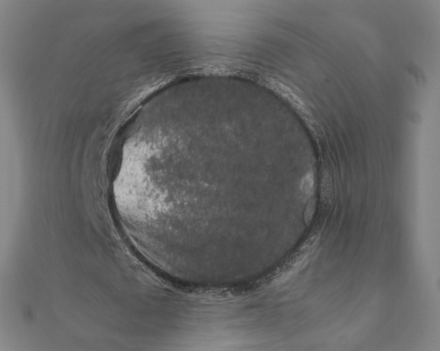 X0000112070673200908181220