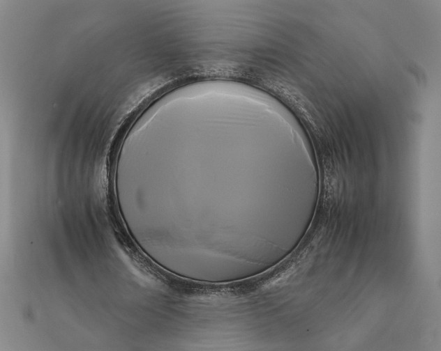 X0000112070674200908181220
