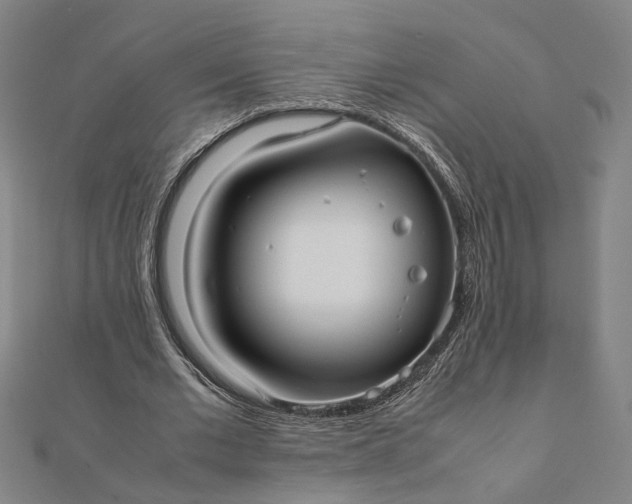 X0000112070677200908181220