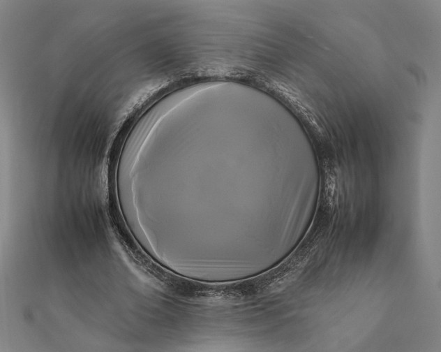 X0000112070678200908181220