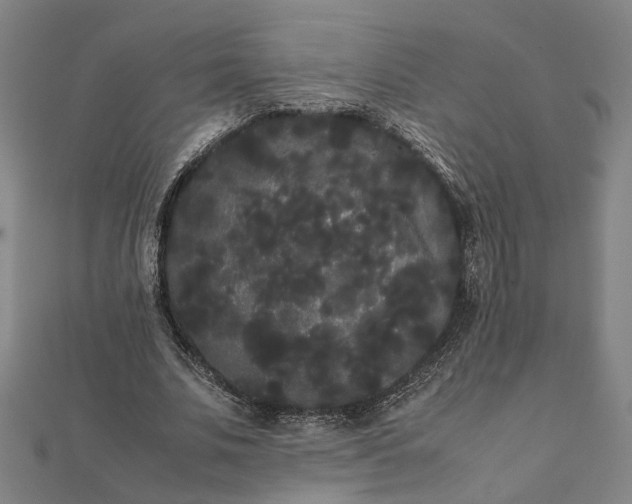 X0000112070679200908181220