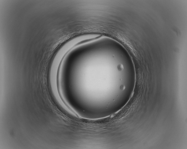 X0000112070681200908181220