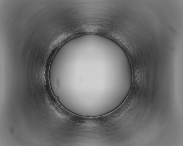 X0000112070682200908181220