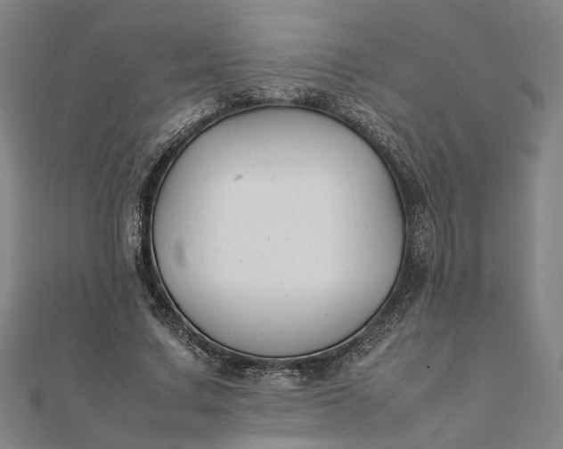 X0000112070683200908181220