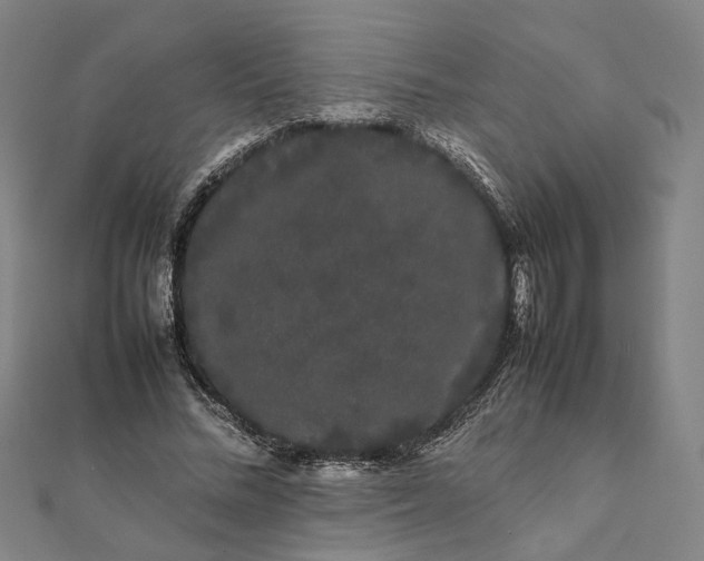 X0000112070684200908181220