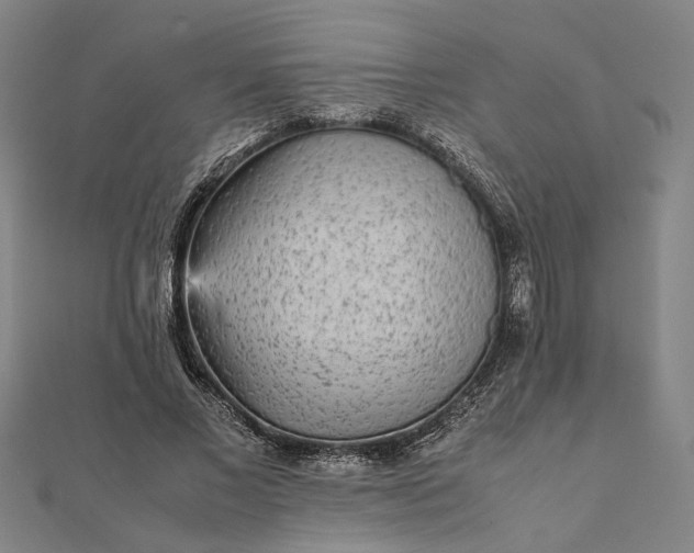 X0000112070685200908181220