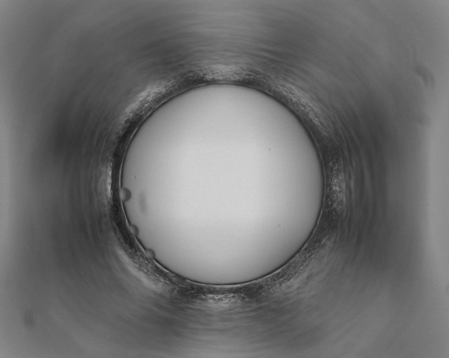 X0000112070686200908181220
