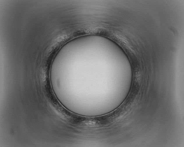 X0000112070687200908181220