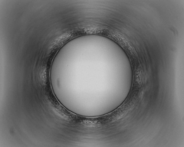 X0000112070690200908181220