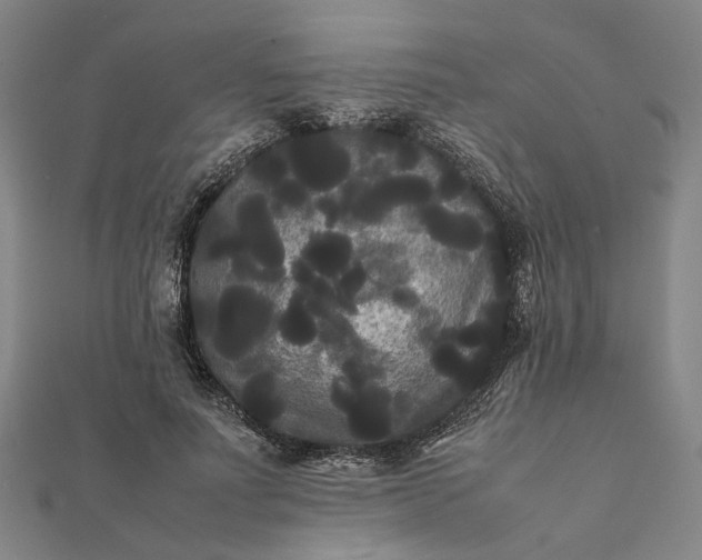 X0000112070691200908181220