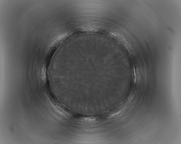 X0000112070692200908181220