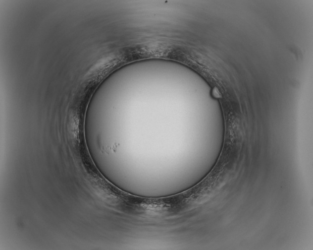 X0000112070693200908181220