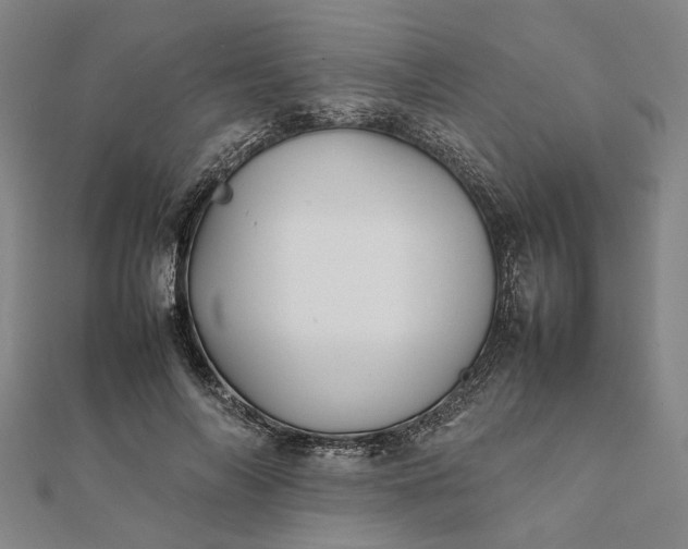 X0000112070694200908181220