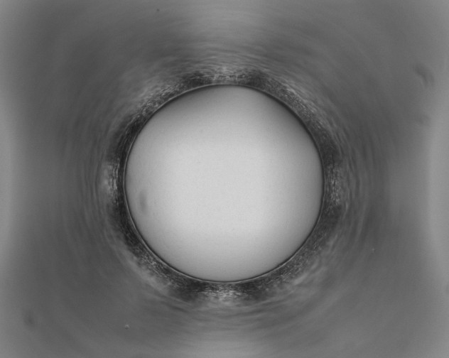 X0000112070695200908181220