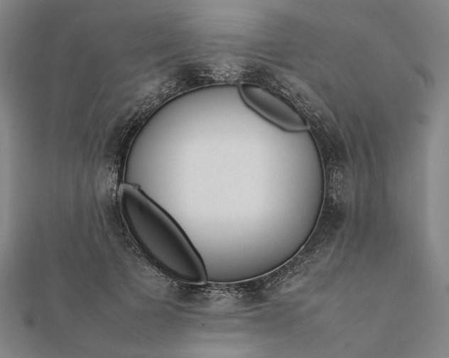 X0000112070697200908181220