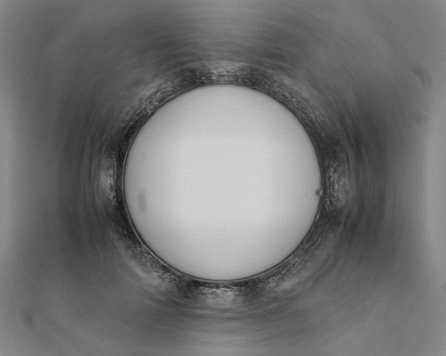 X0000112070698200908181220
