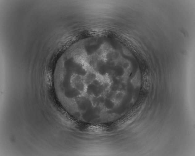 X0000112070699200908181220