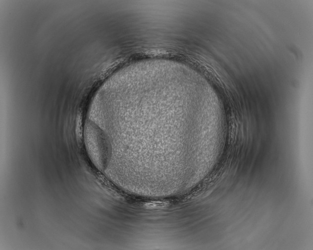 X0000112070700200908181220
