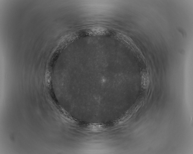 X0000112070701200908181220