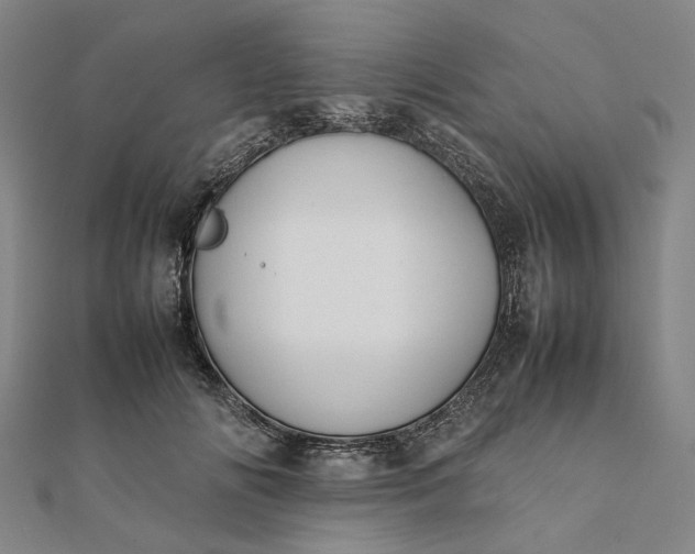 X0000112070702200908181220