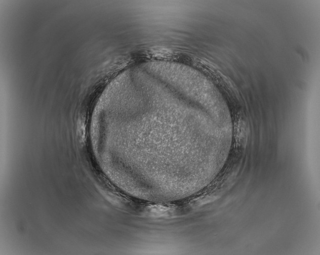 X0000112070703200908181220