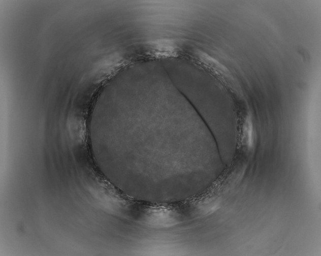 X0000112070704200908181220