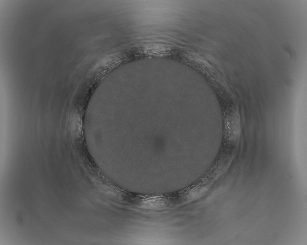 X0000112070705200908181220